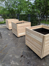 Garden Beds