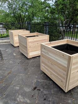 Garden Beds