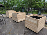 Garden Beds